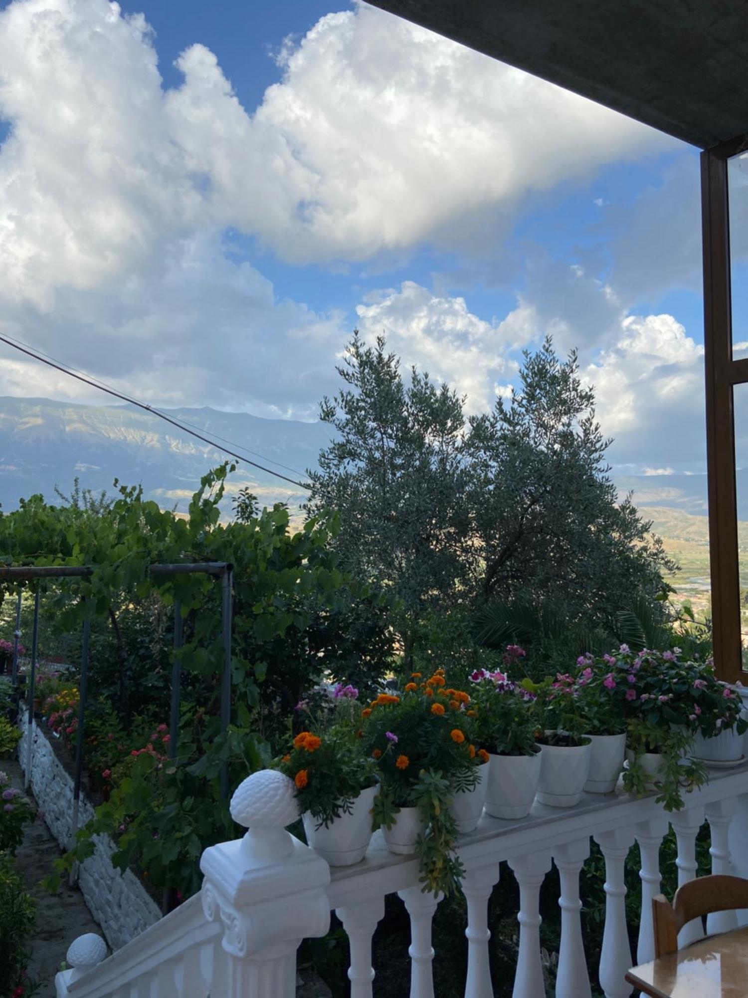 Stonetale Garden Guesthouse Gjirokaster Ngoại thất bức ảnh